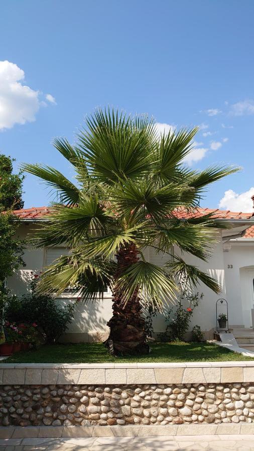Apartments Tulipan - With Free Private Parking Garage Mostar Exteriör bild