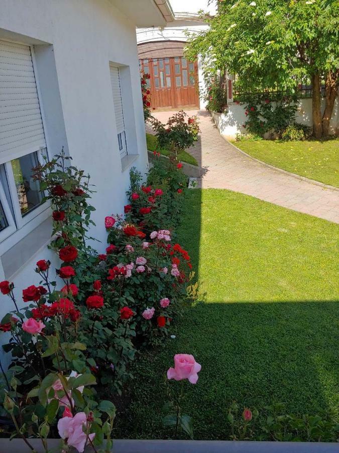 Apartments Tulipan - With Free Private Parking Garage Mostar Exteriör bild
